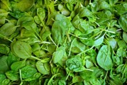 Lebensmittelwarnung: Tartex Markt Gemüse Spinat Pinienkerne